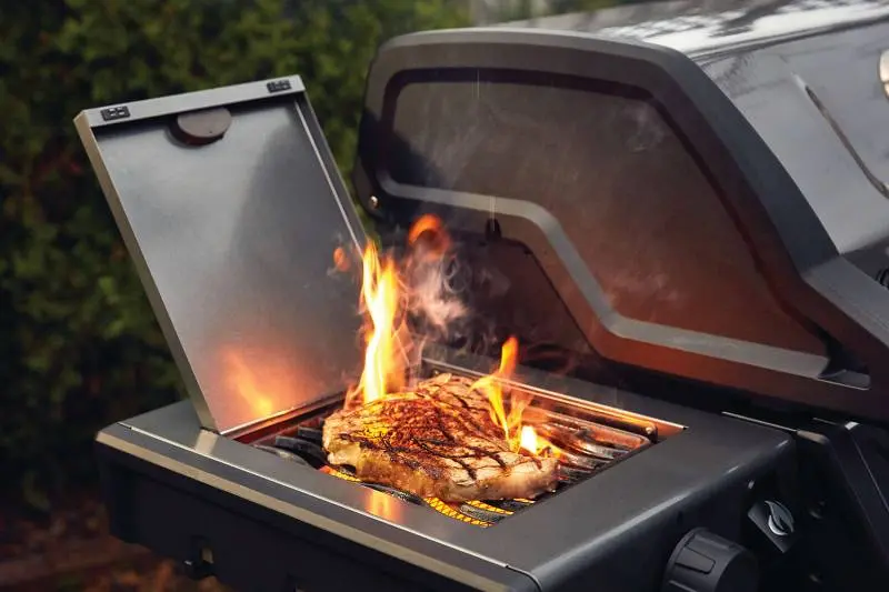 Freestyle 365 Propane Gas Grill with Infrared Side Burner